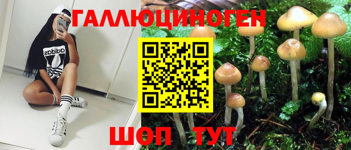 Псилоцибиновые грибы Psilocybine cubensis  Галлюциногенные грибы GOLDEN TEACHER  Вход с VPN  Коммунар 